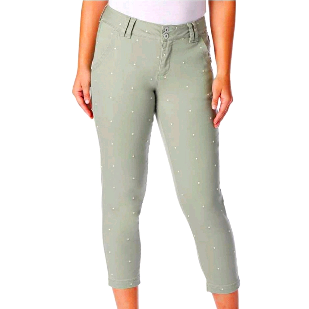 NWT Jag Flora Polka Dot Crop Pant